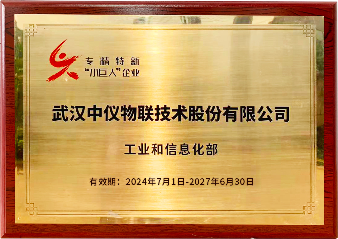 國家級專精特新“小巨人”企業4.jpg